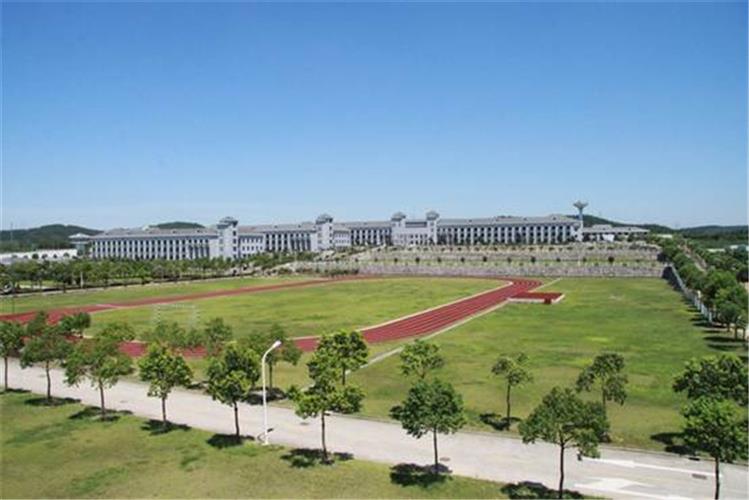 图像 图像
